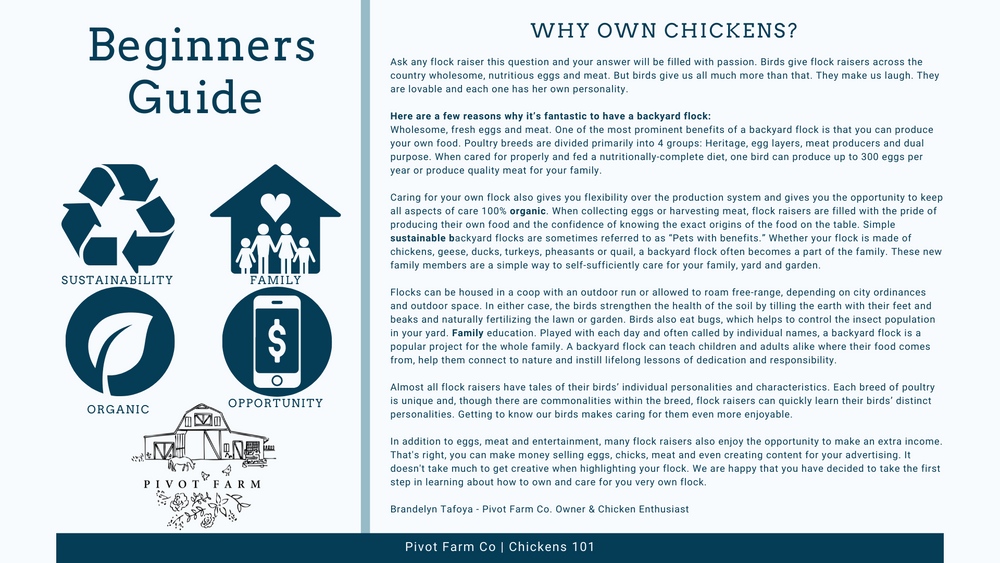 Chicken Class 101 PDF