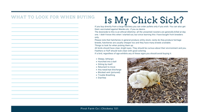 Chicken Class 101 PDF