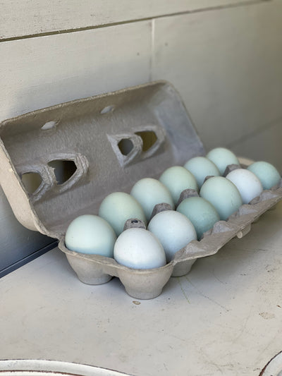 Ameraucana Hatching eggs